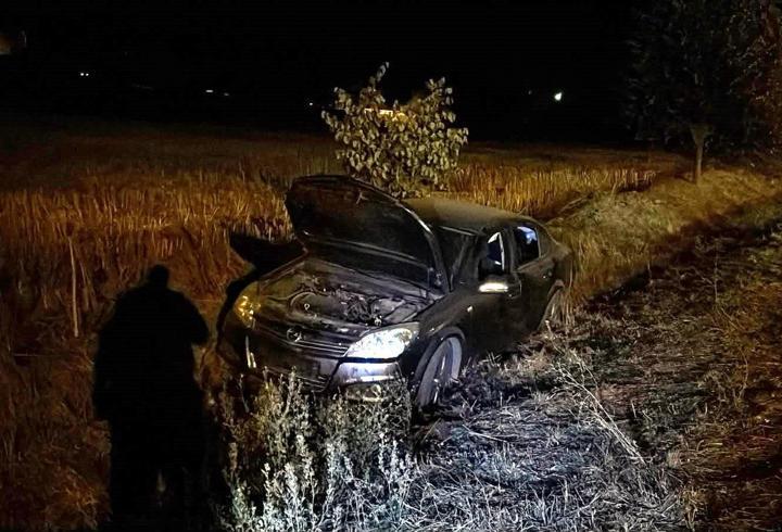 Kontrolden çıkan otomobil, otluk alana savruldu
