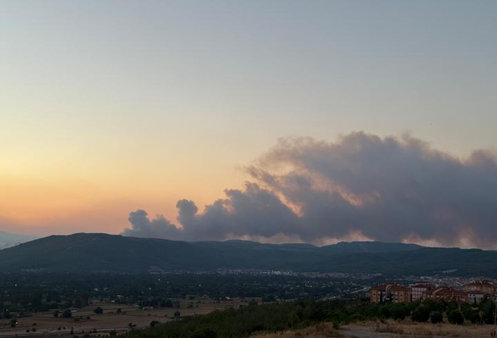 Muğla'da orman yangını