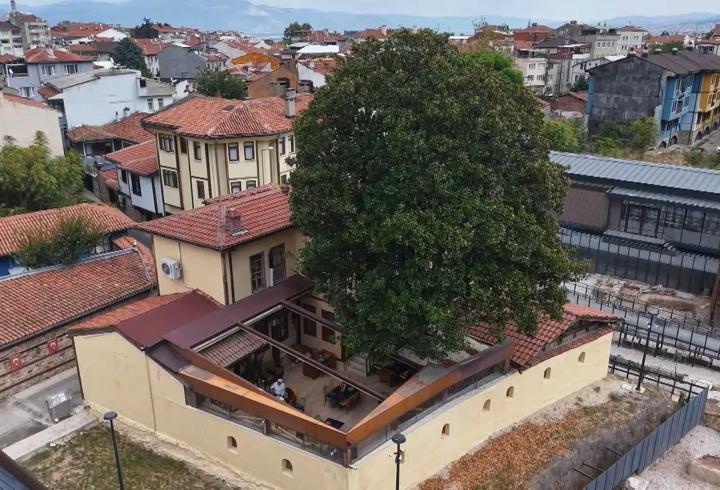 Kökleri 3 asra, hatırası Zeki Müren’e uzanan manolya ağacının altında vefa nöbeti