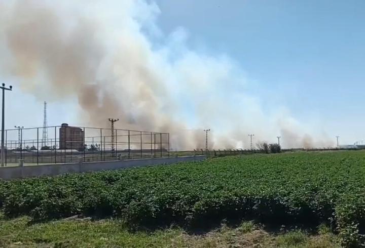 Akçakale sınır hattındaki mayınlı alanda yangın endişe yarattı