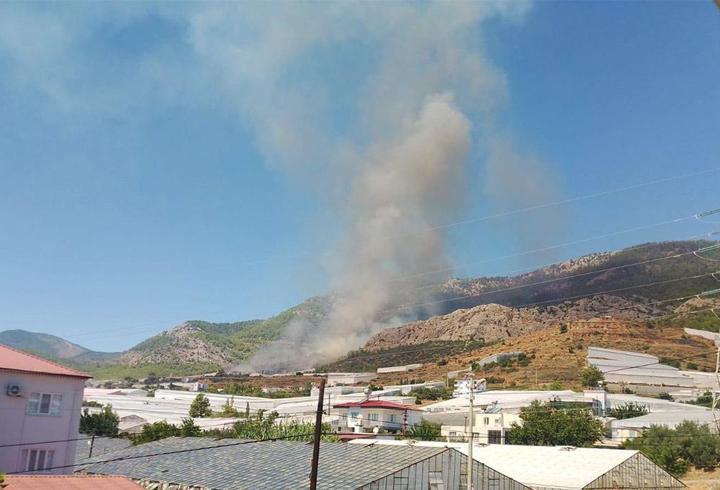 Mersin'deki orman yangınından sevindiren haber