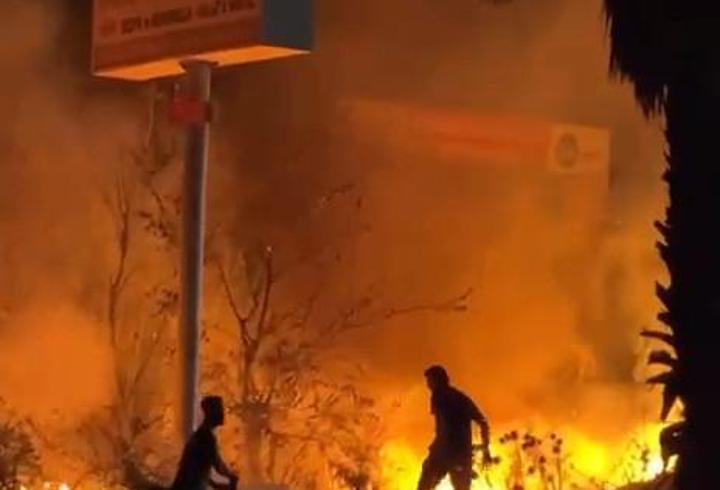 Yol kenarında otluk yangını