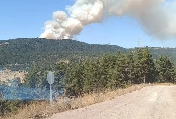 Ankara'daki orman yangını kontrol altında