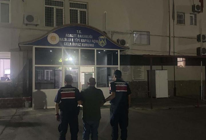 Ormanda kenevir yetiştirirken suçüstü yakalandı