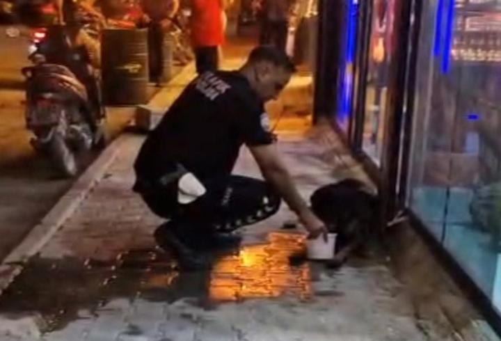 Silahla vurularak yaralanan sokak köpeğine polis ekipleri sahip çıktı