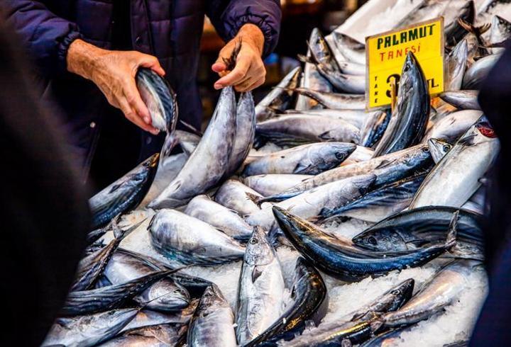 İstanbul'da ağustos ayında en çok palamut tercih edildi