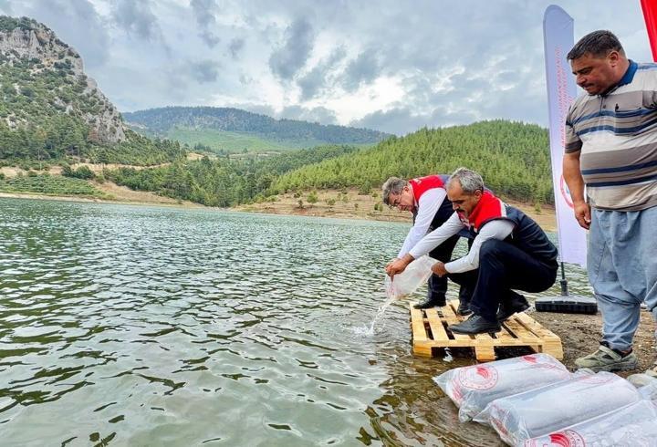 Mersin’de göl ve göletlere 347 bin yavru sazan bırakıldı