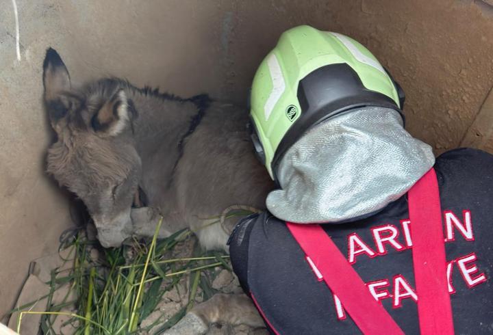 Çukura düşen sıpayı itfaiye kurtardı