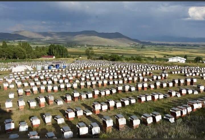 Ordu’da 223 projeye 176,7 milyon liralık hibe desteği