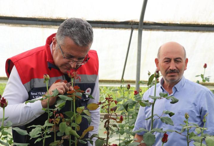 ‘Kesme çiçek üretiminden yıllık 7 milyon adet ürün elde ediliyor’