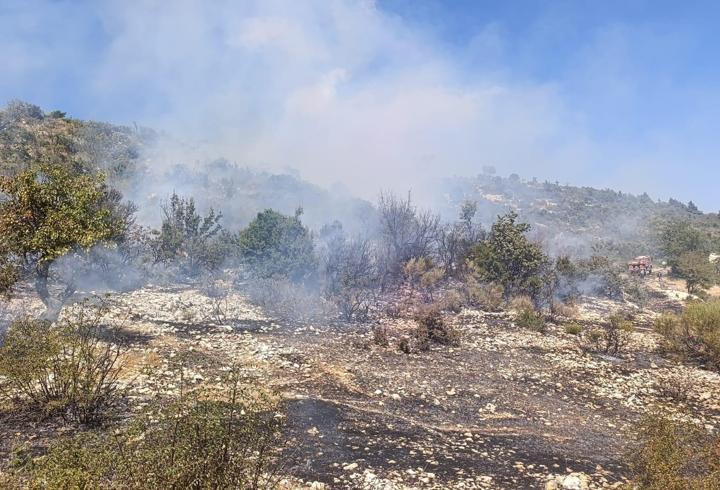 Mersin'de bahçelerin arasında çıkan yangın kontrol altına alındı