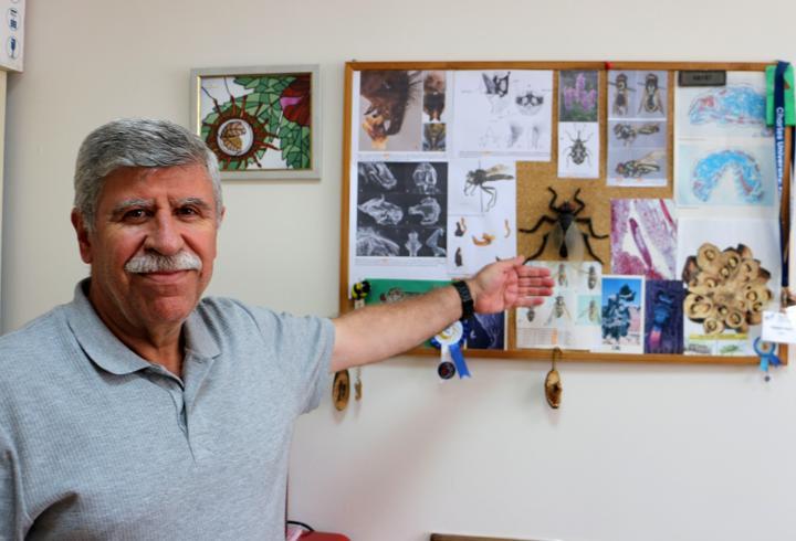 Erzurum’da yeni sinek türü keşfedildi: Adı oğlunun hatırasını yaşatacak