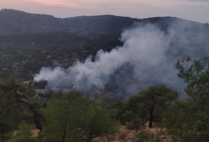 Gaziantep’te orman yangını