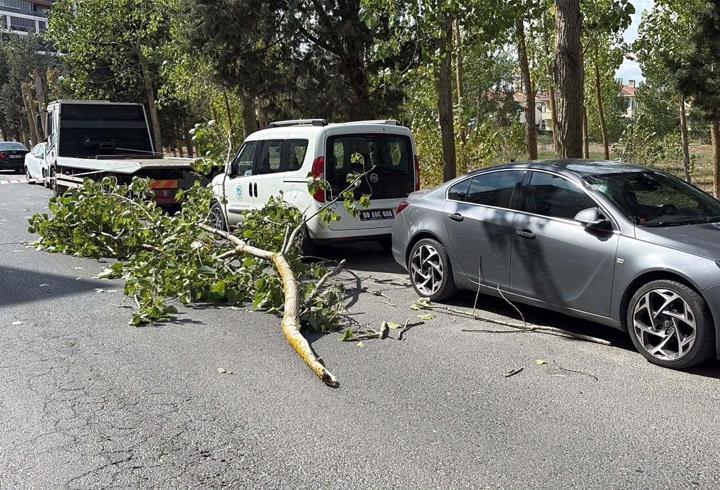 Şiddetli rüzgarda kırılan ağaç dalı, park halindeki iki aracın üstüne devrildi