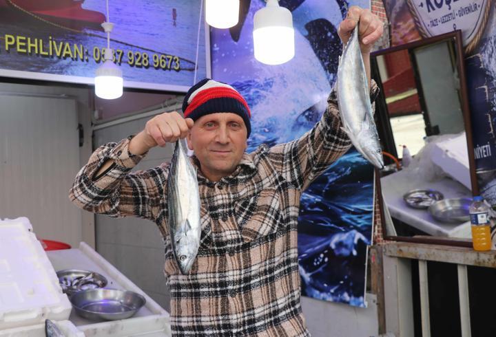 Karadeniz'de palamut bolluğu: Rize'de fiyatı 50 liradan başlıyor