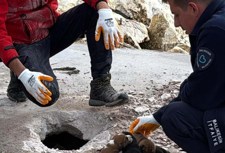 Beton bloğun altında kalan 6 köpek yavrusunu itfaiye kurtardı