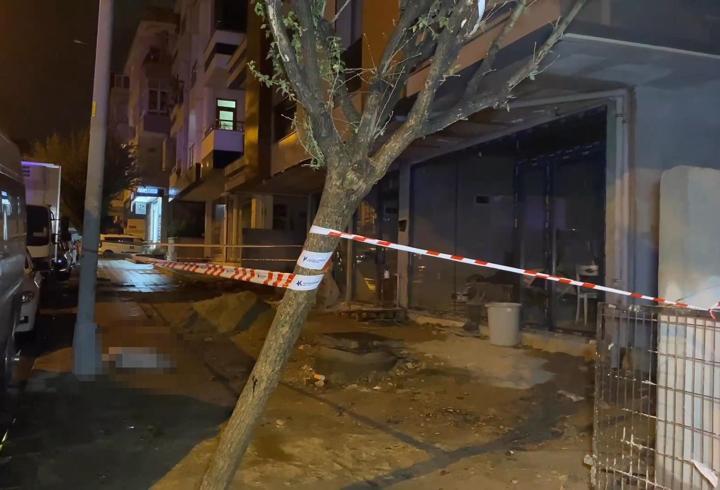 Küçükçekmece'de elektrik akımına kapılan köpek öldü, sahibi yaralandı