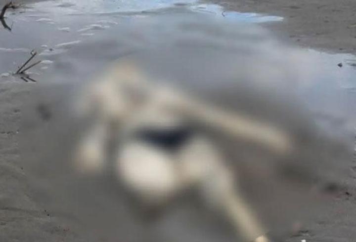 Samsun'da sahilde insan iskeleti bulundu