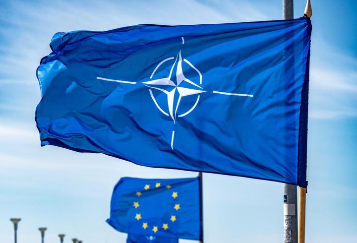 Trump'ın yeni NATO planı ne? "Paris ve Londra, Pentagon toplantısına davet edilmedi"