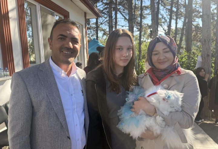 Tokat'ta kediler güzellik yarışmasında podyuma çıktı