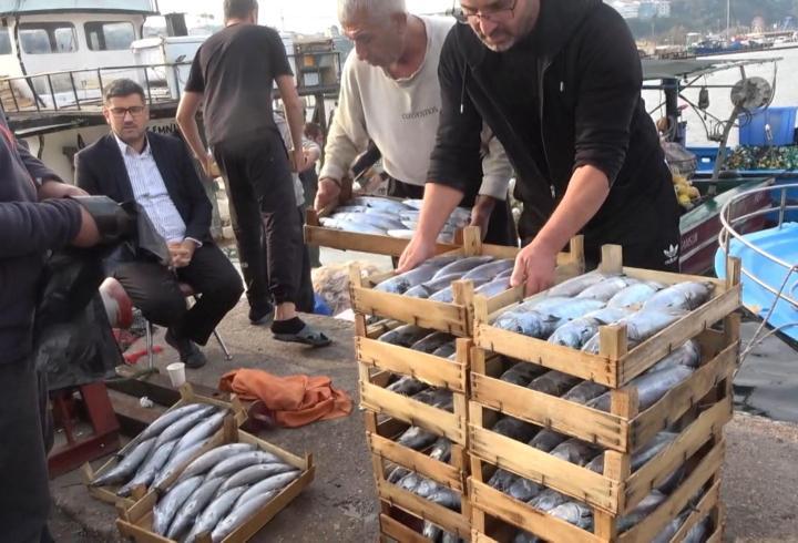 Şile’de palamut bolluğu; kasası 600 liradan satıldı