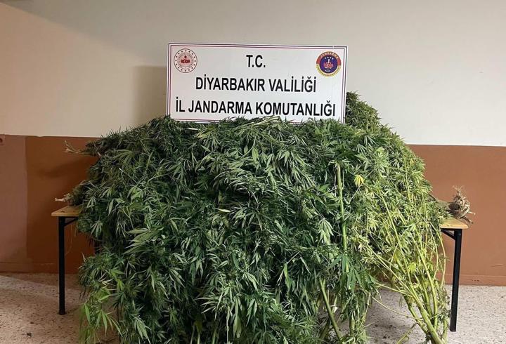 Diyarbakır’da uyuşturucu operasyonlarında 32 şüpheliye işlem yapıldı