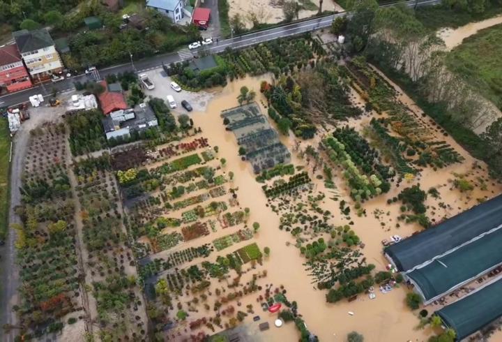 Beykoz'da Riva Deresi taştı; seralar su altında kaldı