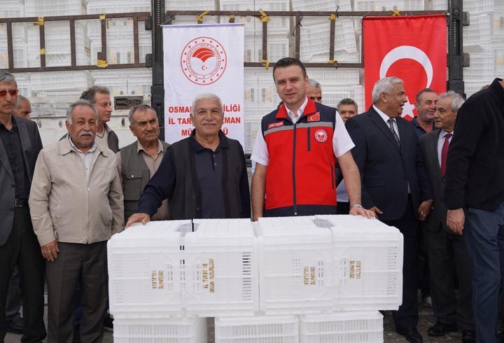 Üreticilere Hibeli Zeytin Kasası Desteği