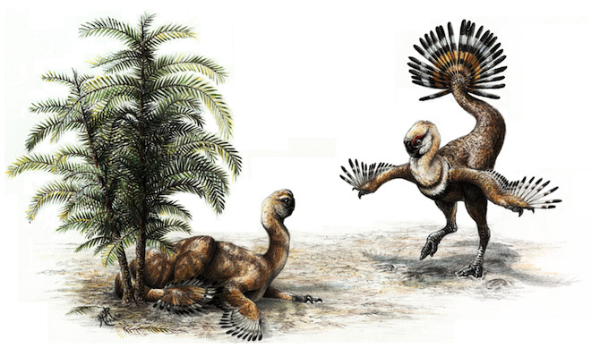 En iyi 10 dinozor fosili keşfi