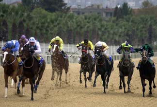 Türkiye Jokey Kulübünden Somaya destek