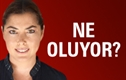 Türk milliyetçiliği” tartışması, Ne Oluyorda