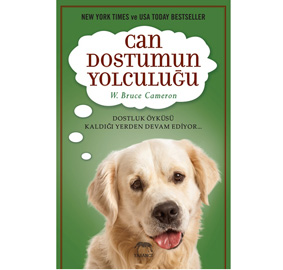 Bir köpeğin gözünden dünya nasıl görünür