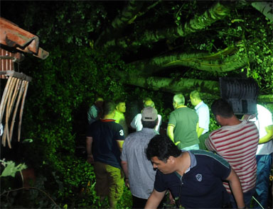 Edirnede fırtına faciası: 1 ölü 13 yaralı
