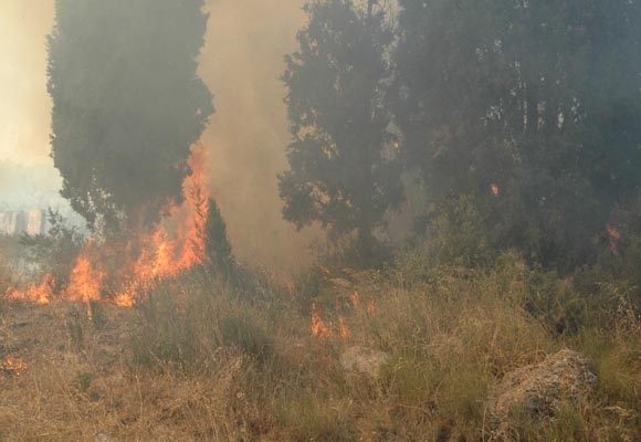 Feribot seferlerine yangın arası