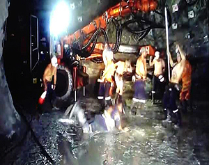 Harlem Shake madencileri işinden etti