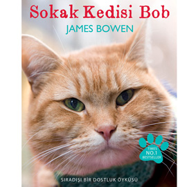Bir kedi, hayatımızı nasıl değiştirebilir