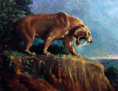 ABDde smilodon fosili bulundu