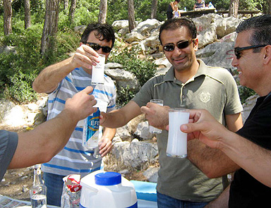 Sen misin piknikte rakı içen