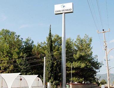 Bazı mezarlık tabelasıyla gizlediler