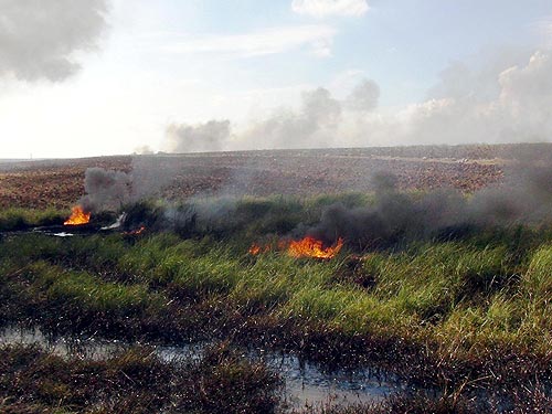 PKKdan boru hattına bombalı saldırı