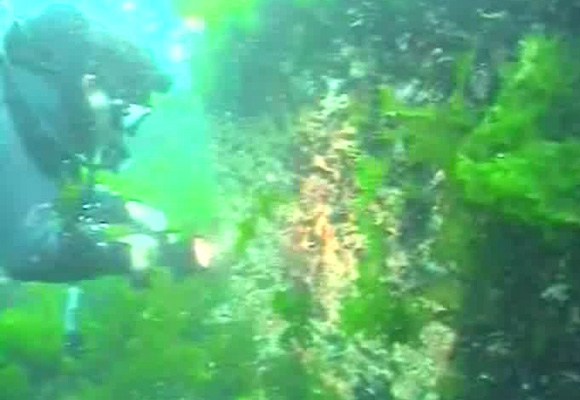 Marmaradaki Atlantis: Vorvodisi