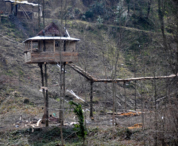 Yine bir Rize klasiği: Ağaç üzerinde ahşap ev