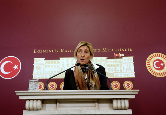 Ekolojik anayasa