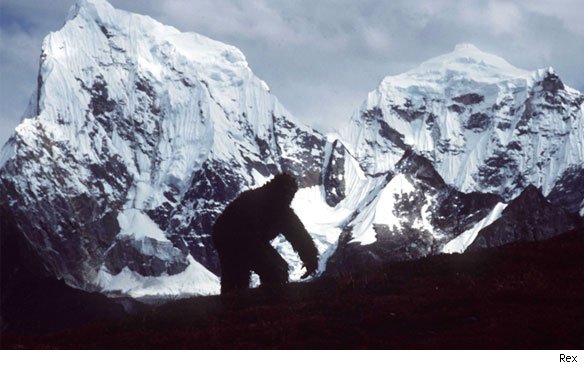 Yeti olduğundan yüzde 95 eminiz
