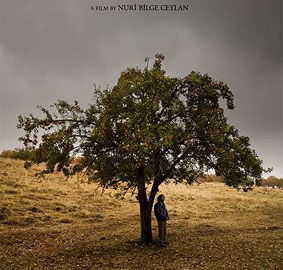 5 yeni film vizyonda