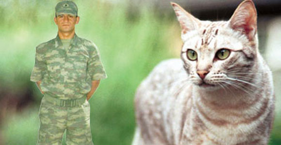 Kışlada kedi dayağı