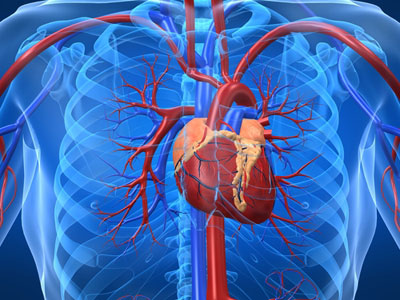 Hepatit C için üç ilaçlı tedavi önerisi