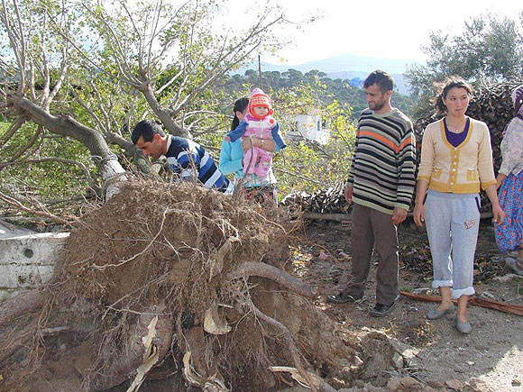 Muğlada hortum yıktı geçti...
