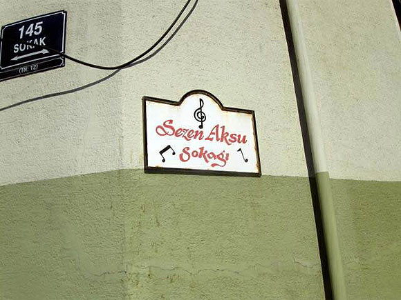 Sezen Aksu sokağının tabelası söküldü