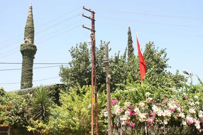 Adı yeşil, her yeri yemyeşil..